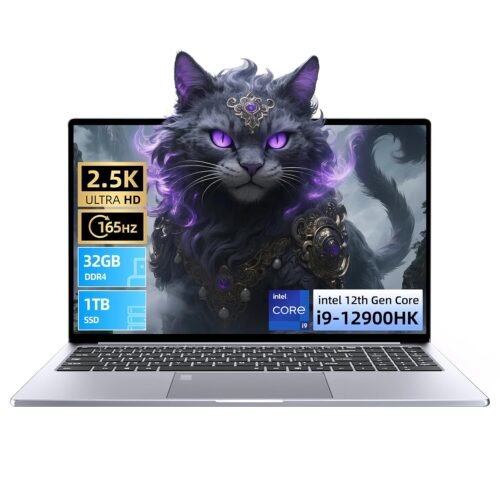 AIERXUAN 15.6″ 2.5K FHD 165Hz Gaming Laptop Computer, Core i9-