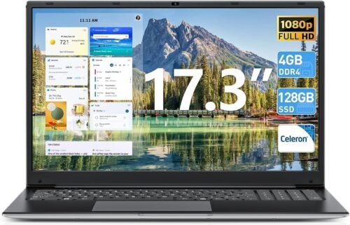 SGIN 17.3 Inch Laptop Computer, Win 11 Laptops with Celeron I3