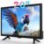 TV 20 inch,Small Kitchen Flat Screen TV with Headphones Port,HDMI,USB and VGA Ports,DV-